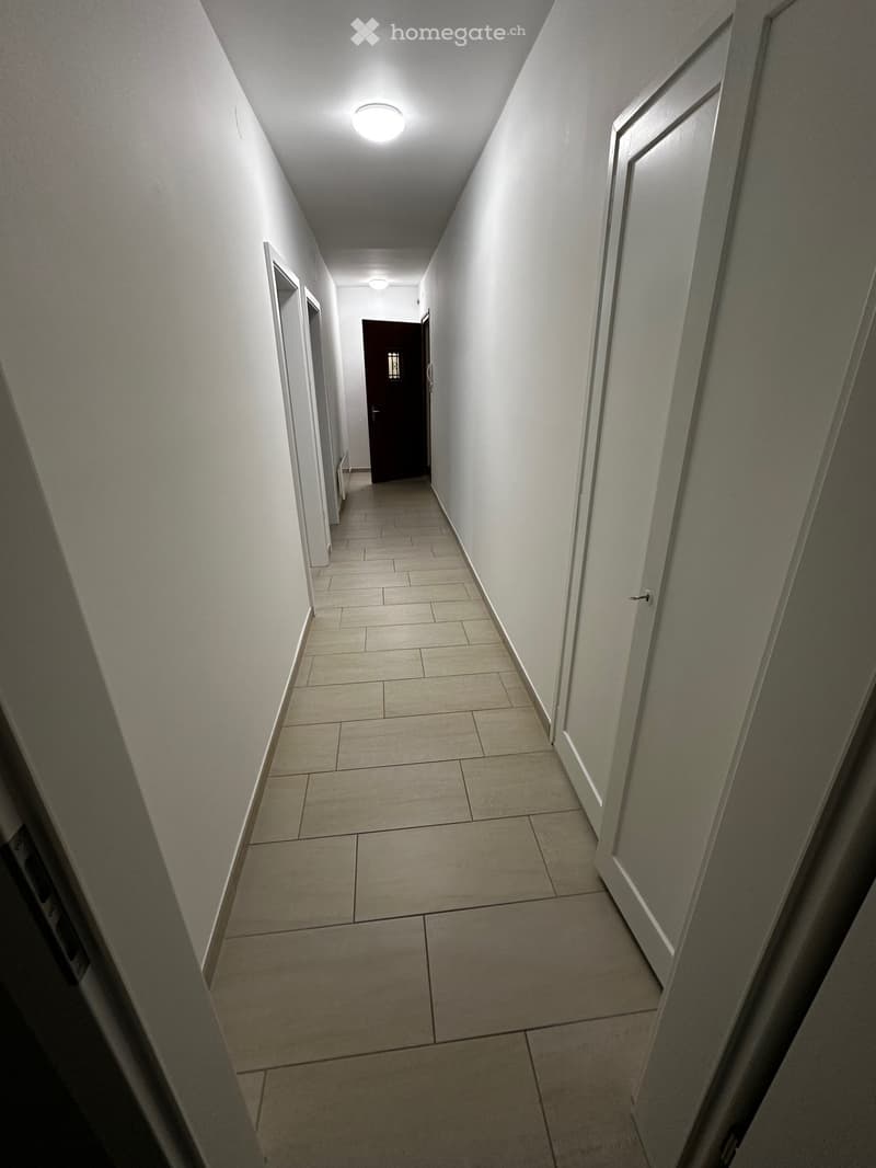 MINUSIO POSIZIONE CENTRALE APPARTAMENTO 2 LOCALI (2)