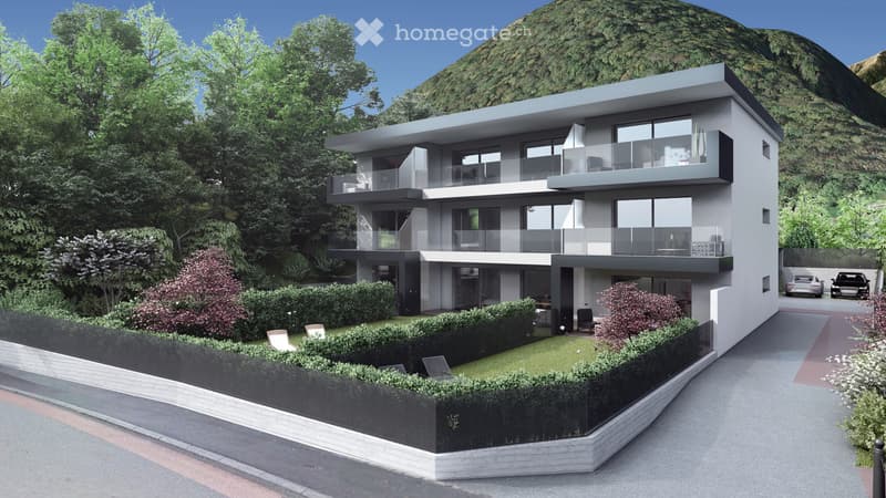 NUOVO 2.5 loc. Bellinzona (1)