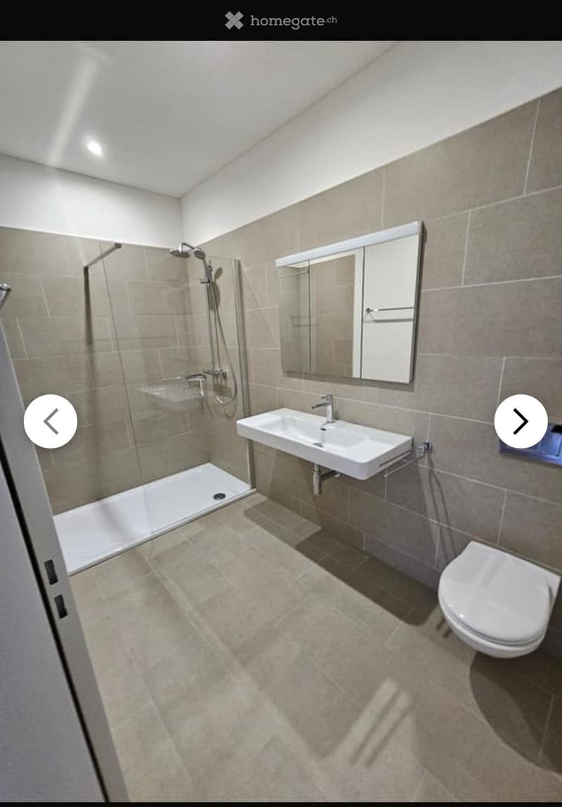 Moderne 3.5 Zimmer EG-Wohnung in Merenschwand (2)