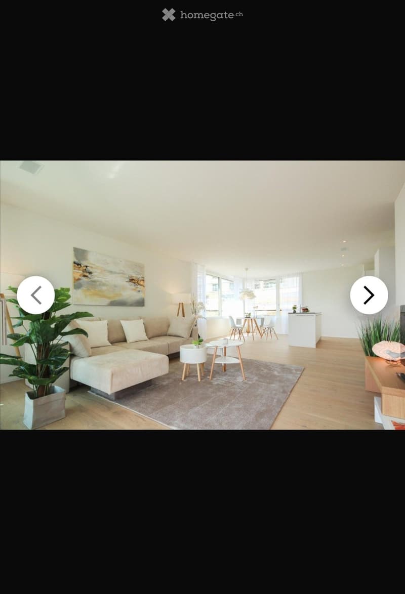 Moderne 3.5 Zimmer EG-Wohnung in Merenschwand (1)
