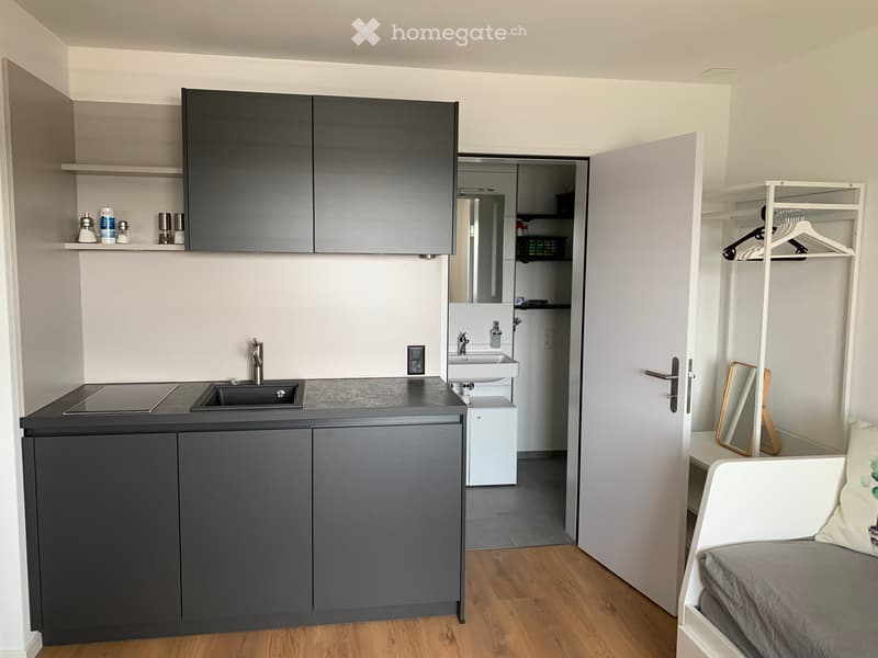 Möbliertes Studio in Beringen SH mit Alpenblick (3)