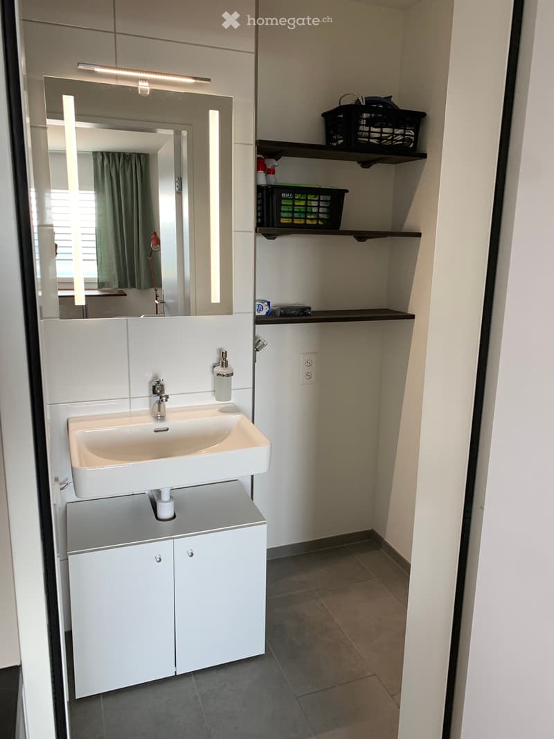 Möbliertes Studio in Beringen SH mit Alpenblick (5)