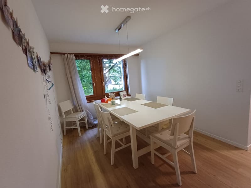 Schöne, grosse 4.5 Zimmer Gartenwohnung (2)