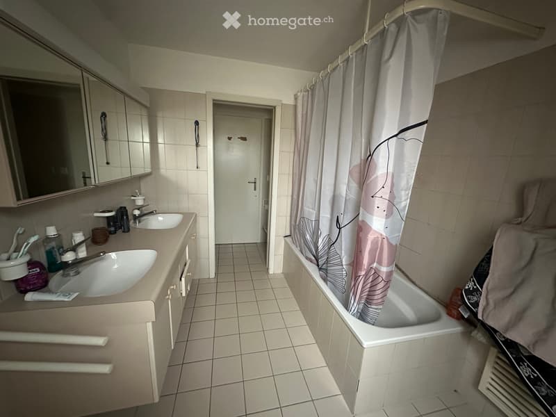 Gemütliche Dachwohnung (3)