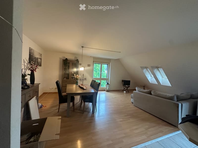 Gemütliche Dachwohnung (1)