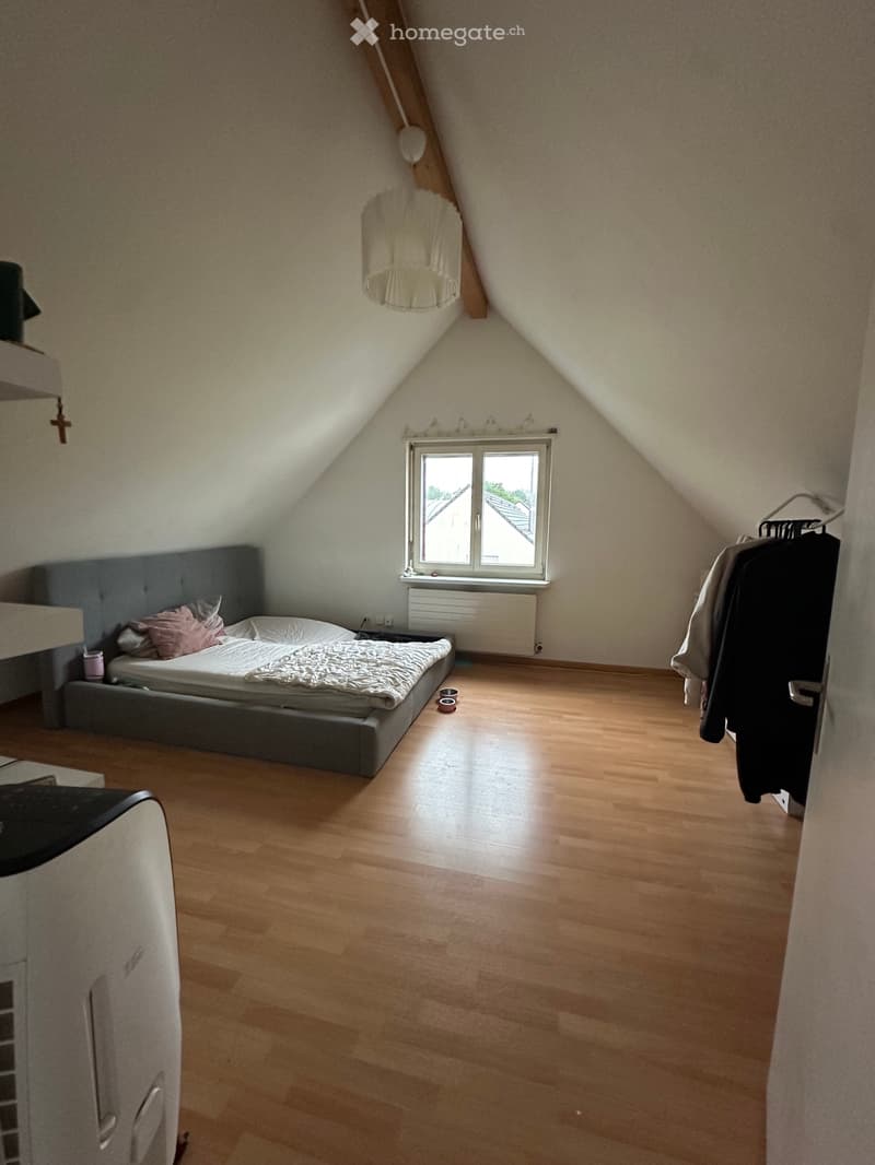 Gemütliche Dachwohnung (2)