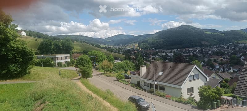 Ihr Premium Domizil! Neue stilvolle 3,5 Z.-WHG in Sissach (5)