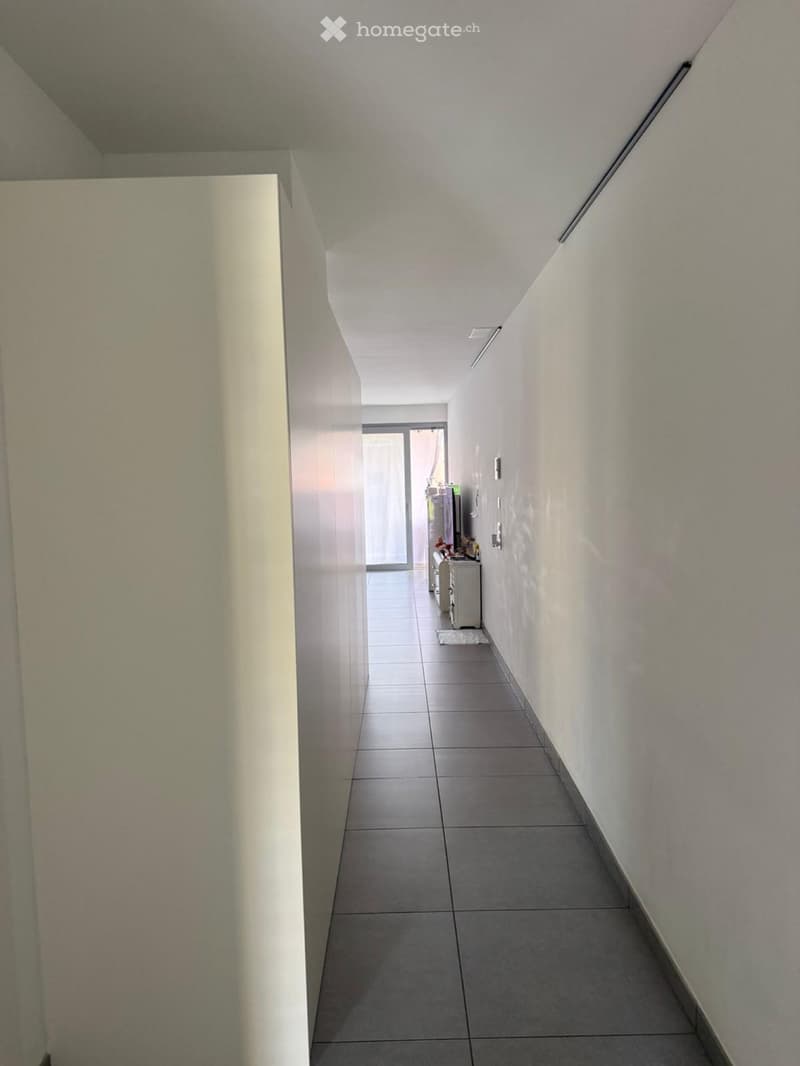 Cerco subentrante per appartamento a Bellinzona (3)