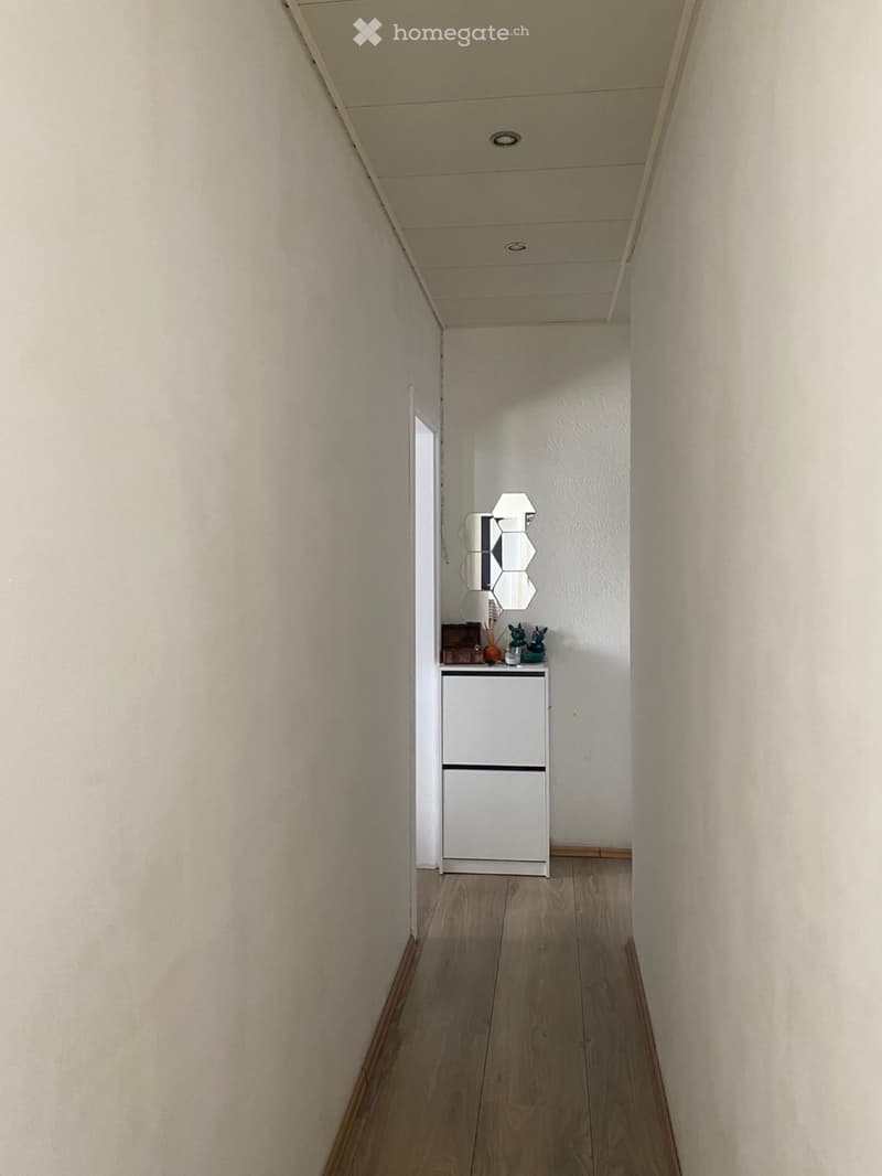 3.5-Zimmer in 4614 Hägendorf (5)