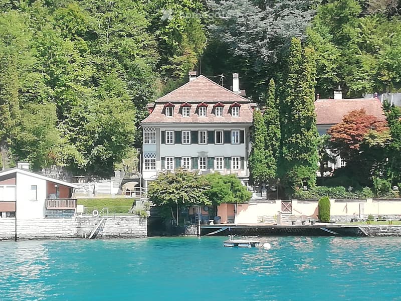 Villa am Thunersee (1)