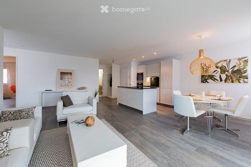Nachmieter ab Juli 2026 gesucht - moderne 4.5 Zi-Wohnung (2)