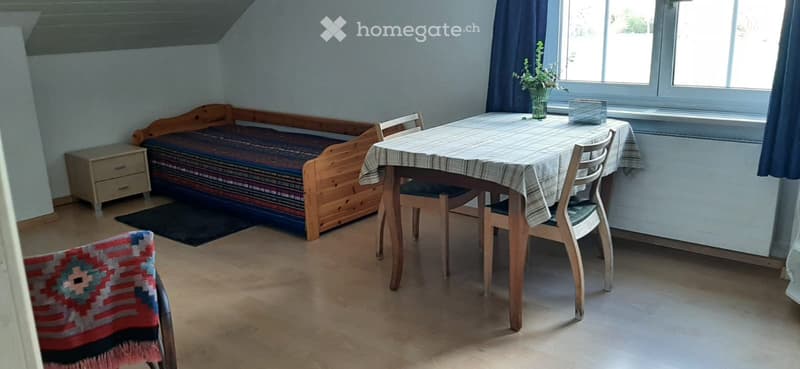 1 Zi-Whg per 1.9.2026 in Aesch BL an ruhigen Mann oder Frau (2)