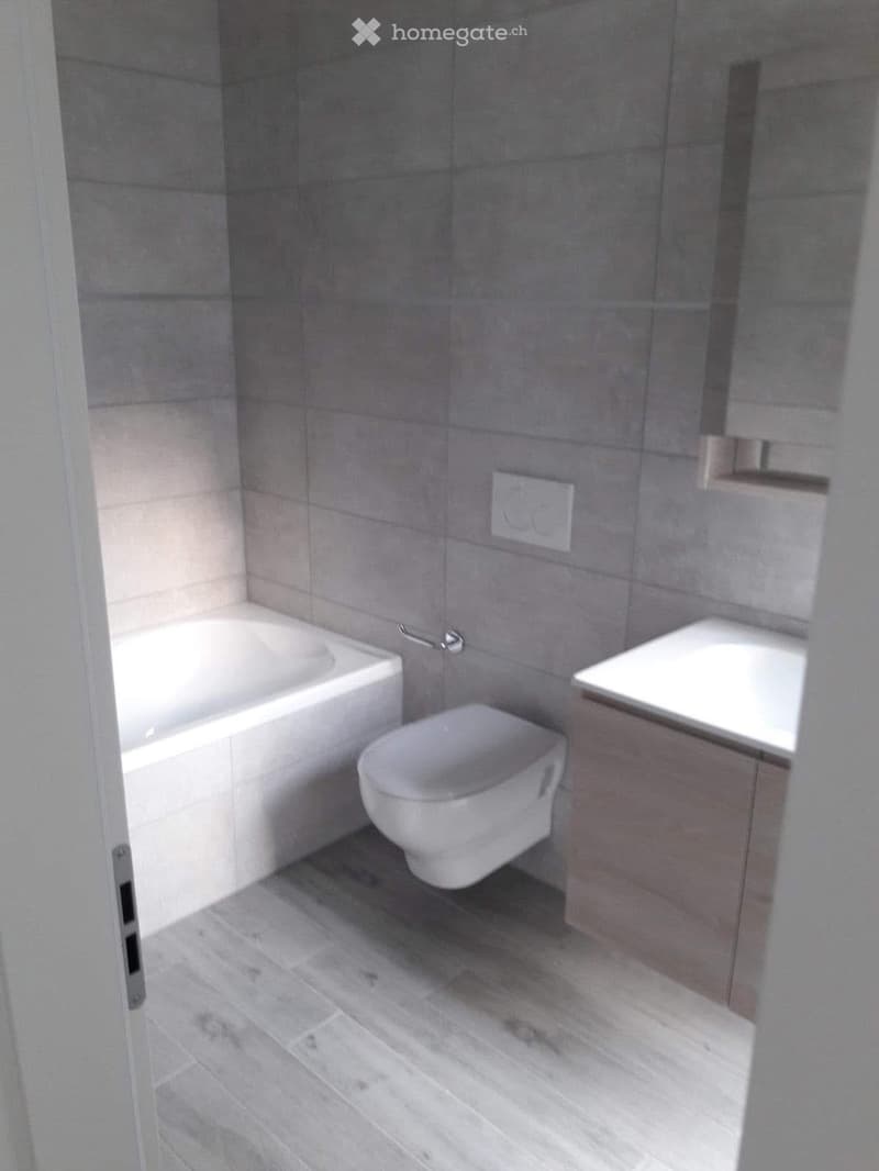 Appartamento in affitto (4)