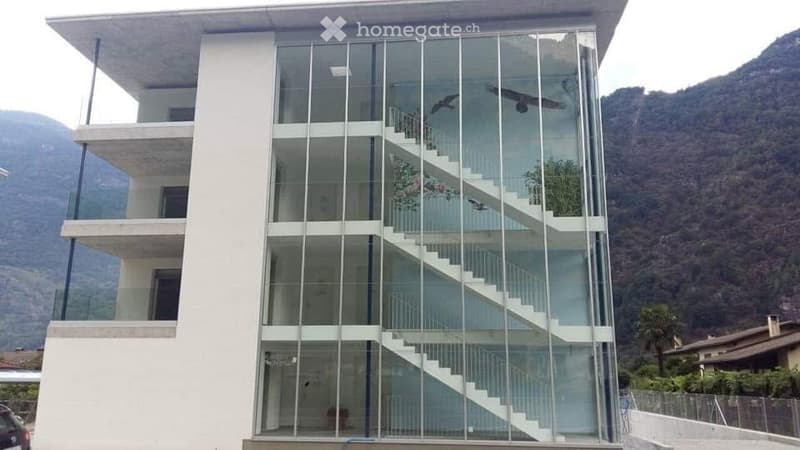 Appartamento in affitto (1)