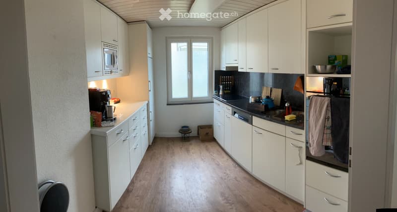 Wohnung mit grossem Garten (2)