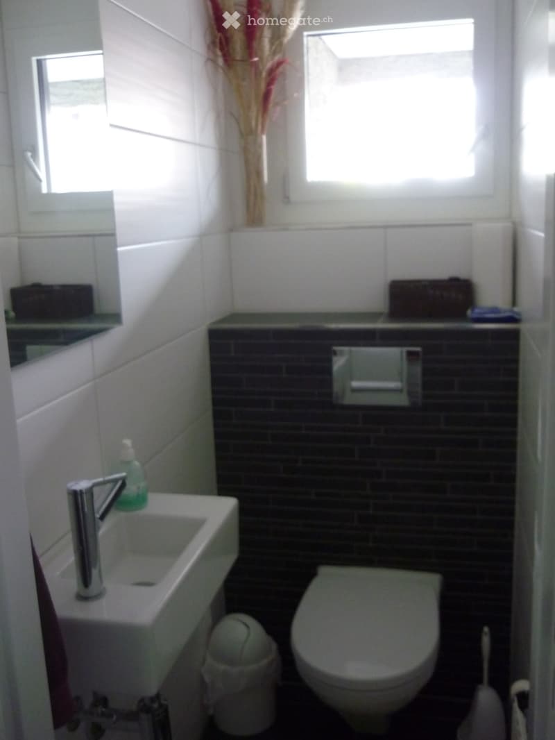 5.5 Zimmer Reiheneinfamilienhaus (4)