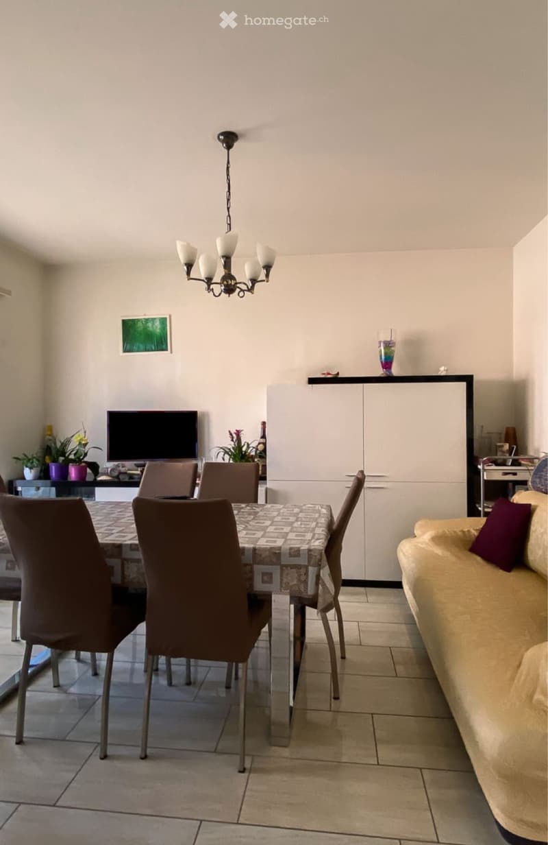 Appartamento 4.5 loc - Pregassona (2)