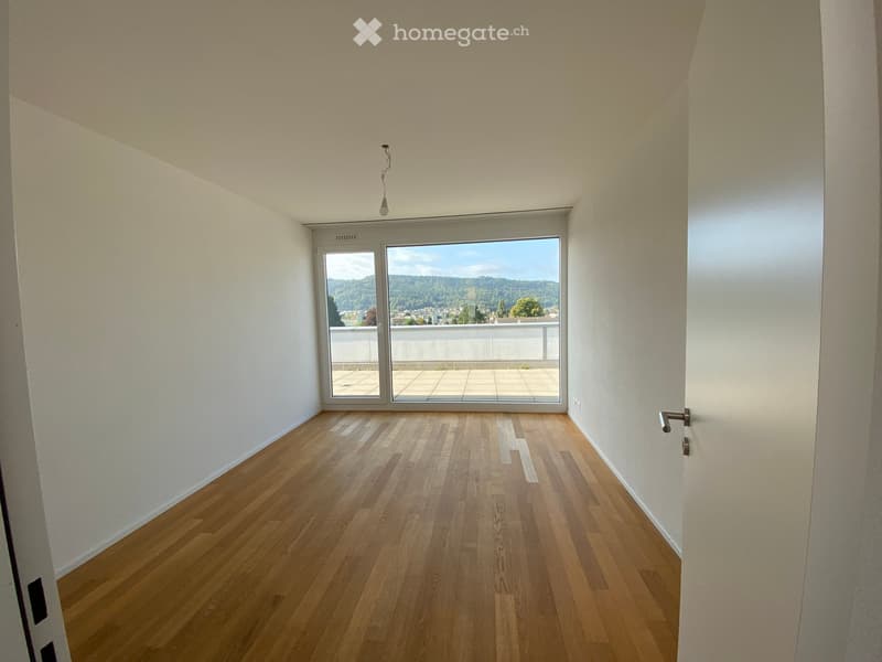 4.5 Zimmer Attikawohnung (5)