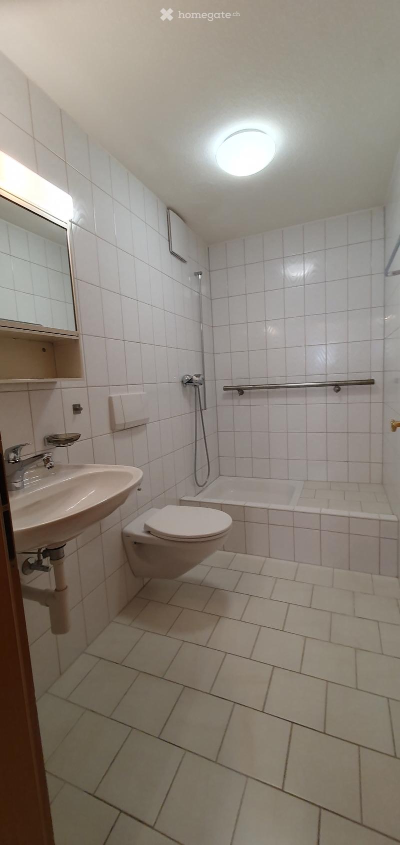 2,5 Zi -Wohnung Solothurn City (5)