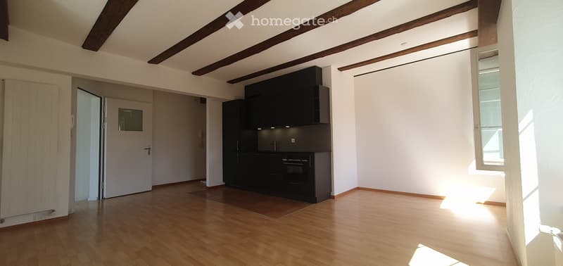 2,5 Zi -Wohnung Solothurn City (3)