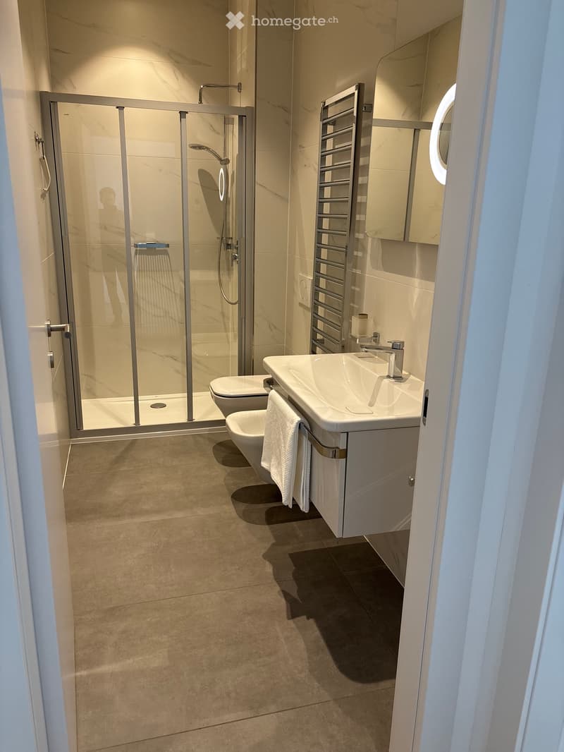 Quartiere Maghetti affittasi 2.5 locali (5)