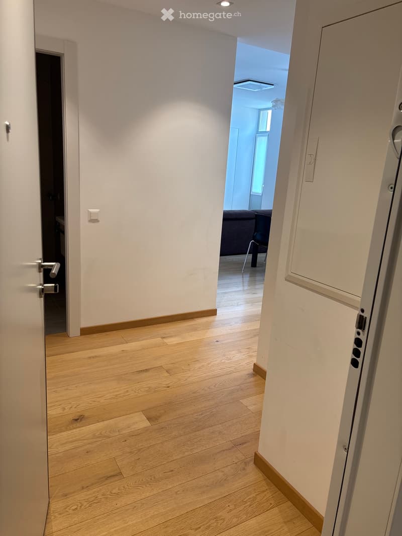 Quartiere Maghetti affittasi 2.5 locali (4)