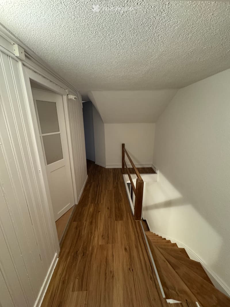 5,5 Zimmer Wohnung (5)