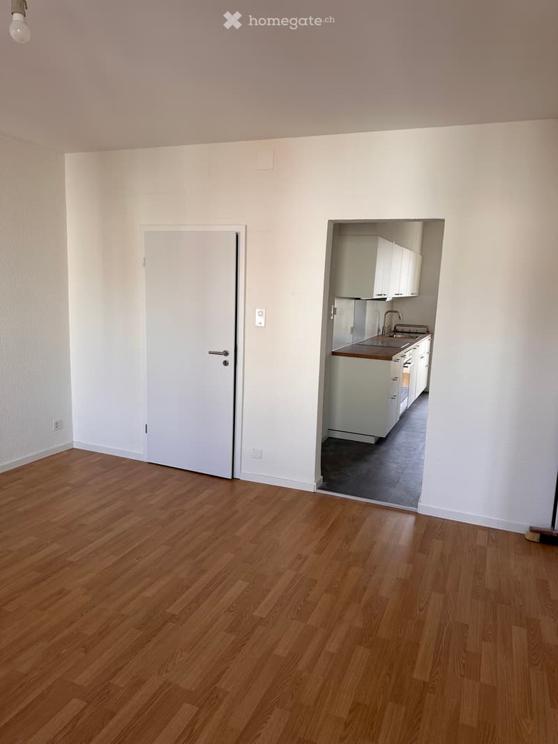 3.5 Zimmer Altbauwohnung in Binnigen (2)