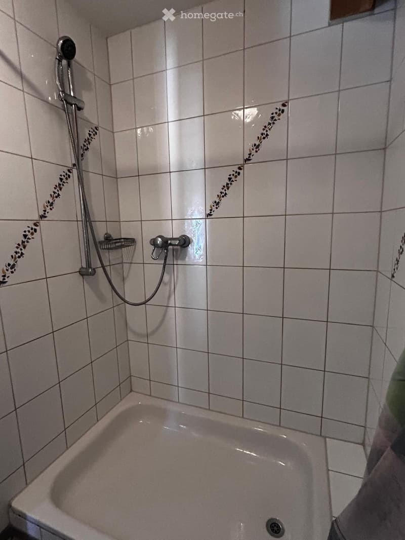 Studio zu vermieten (4)