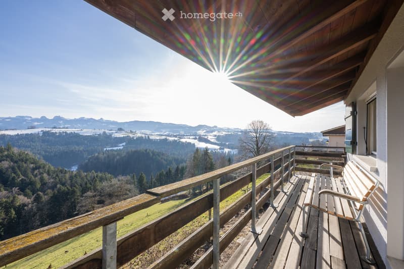 Charmantes Ferienhaus im Naturpark Gantrisch (5)