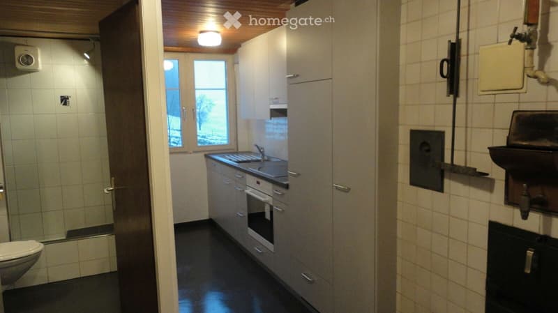2½ Zimmer Wohnung (5)