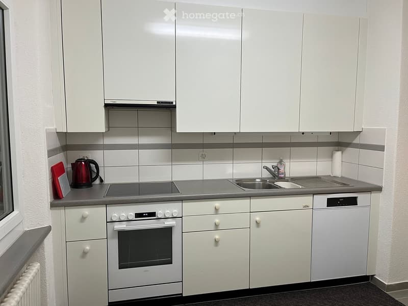 WG Zimmer 20 m2  Auch für Paare in Buchegg- Zürich (5)