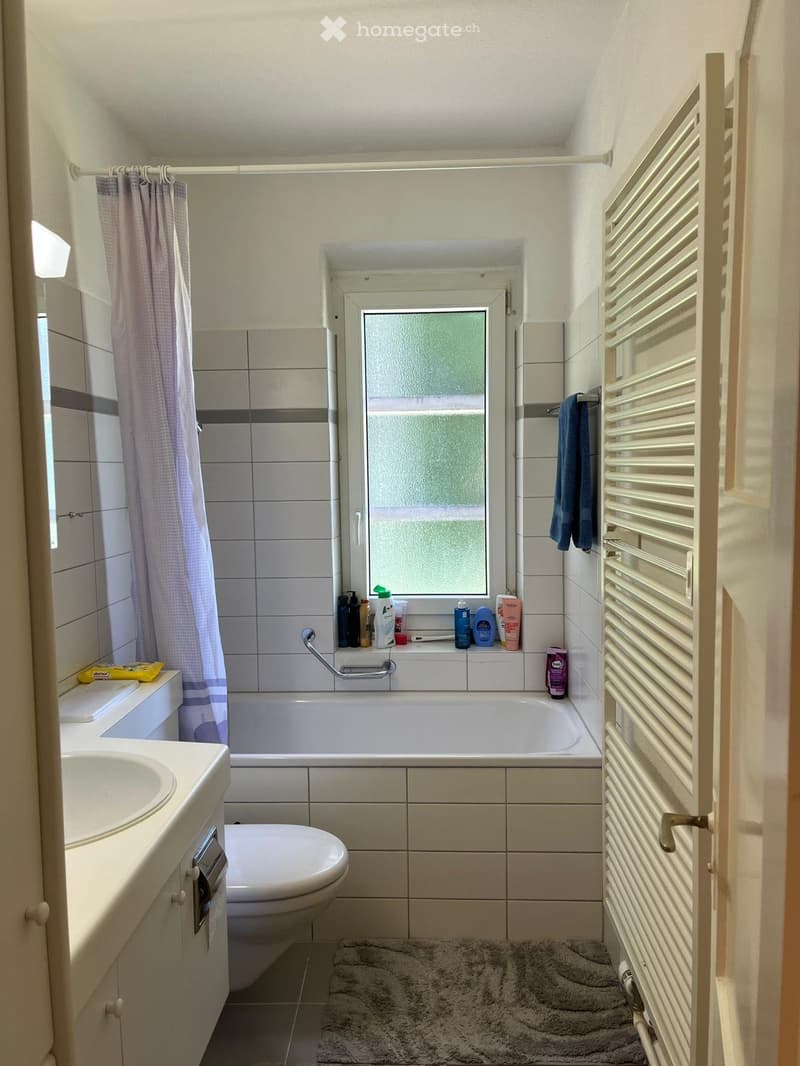 WG Zimmer 20 m2  Auch für Paare in Buchegg- Zürich (3)