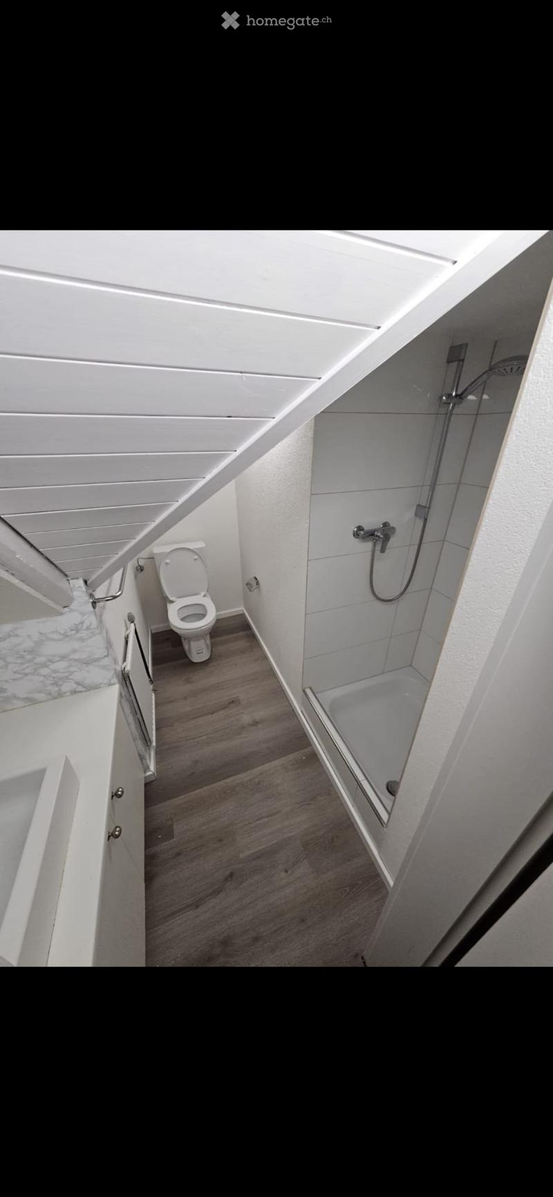 2.5 ZH-Wohnung (5)