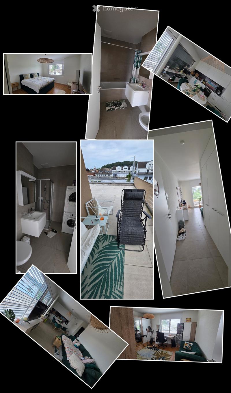 3.5 Zimmer Attikawohnung (1)