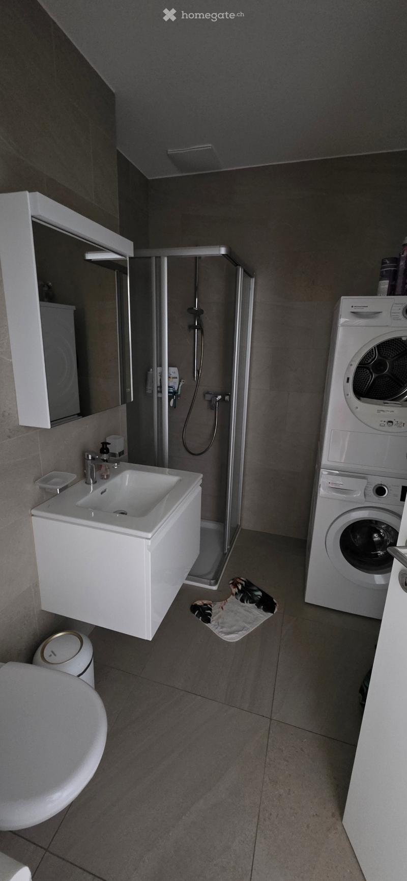 3.5 Zimmer Attikawohnung (3)