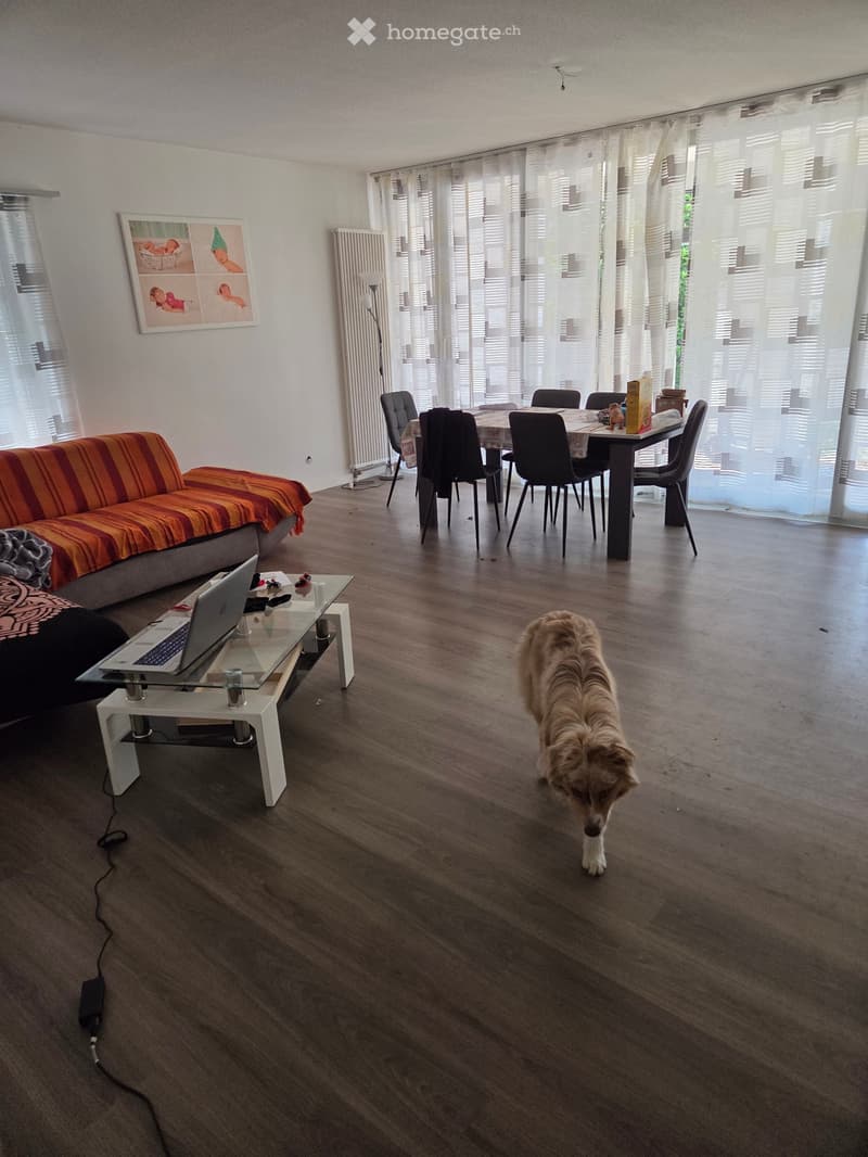 Appartamento 4.5 (2)