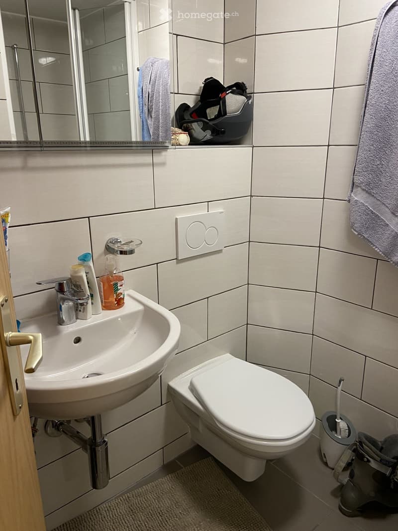 Appartamento ammobiliato di 3 locali a Nante. (5)