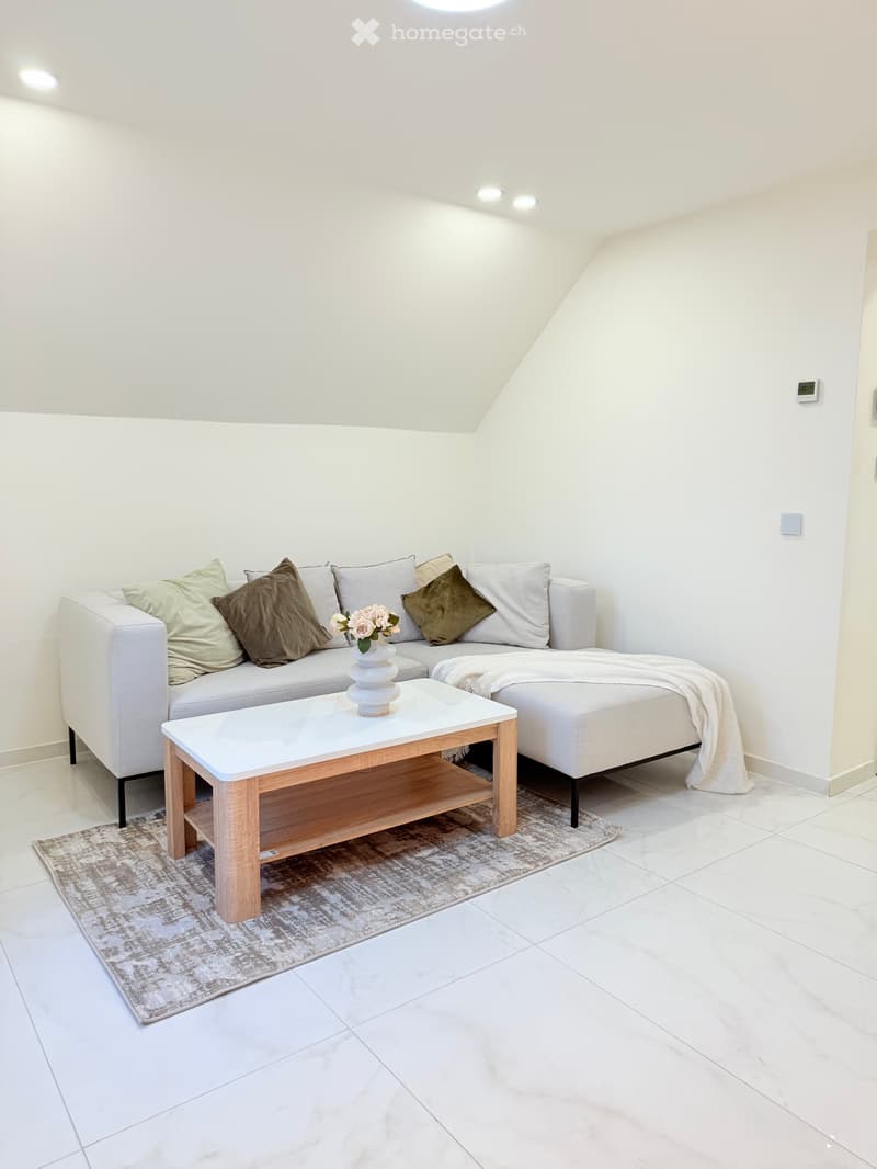 Möblierte 3 Zimmer Wohnung (3)