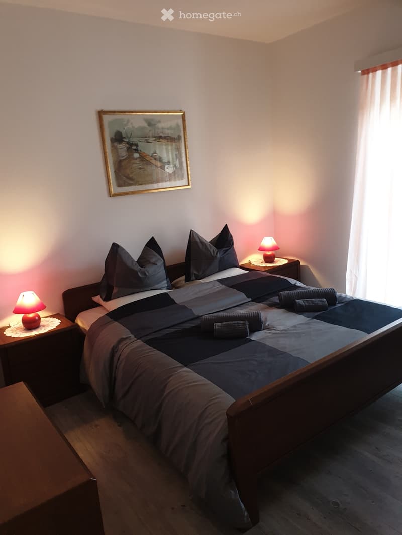 Appartamento in casa contigua 3.5 locali (5)