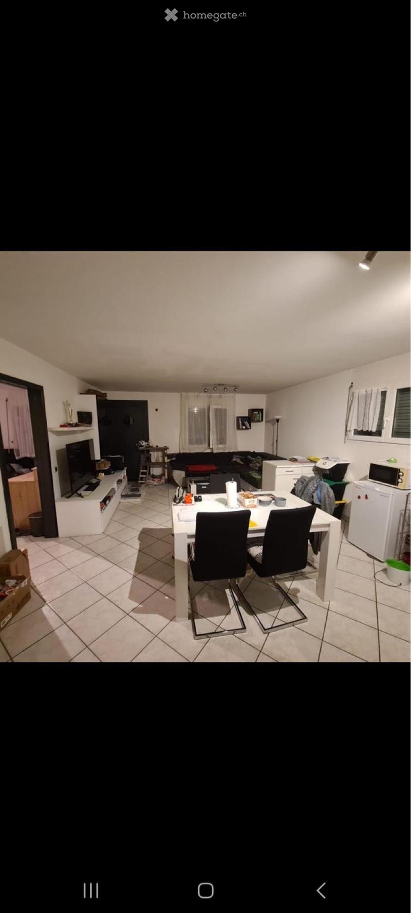Appartamento 2.5 locali MONTE CARASSO (1)