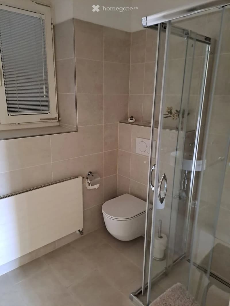 Traumwohnung (4)