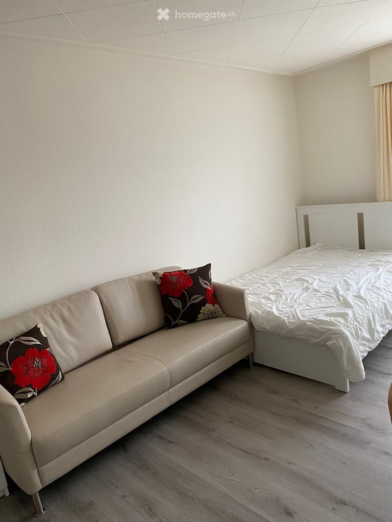 Möbliertes Apartment mit eigenem Bad und Küche (2)