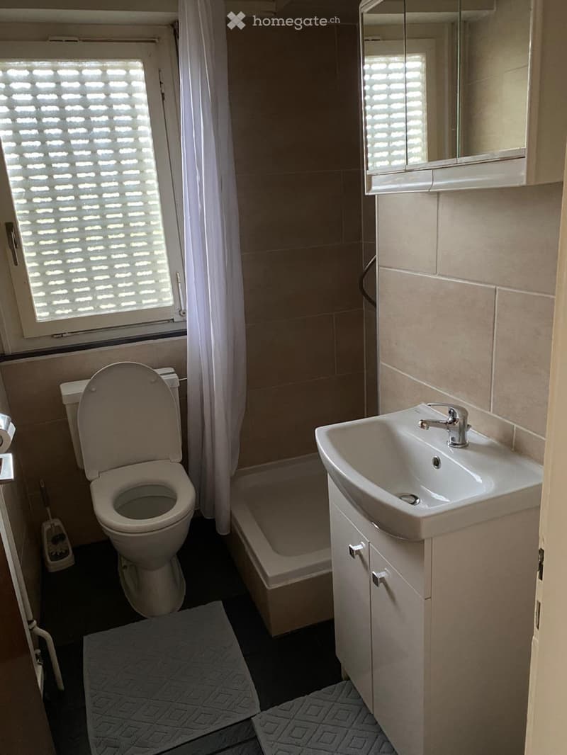 Möbliertes Apartment mit eigenem Bad und Küche (4)