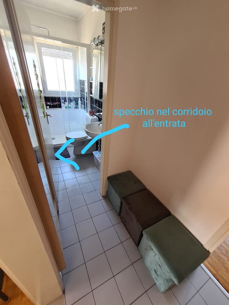 Cercasi subentrante dal 1 agosto per 2.5 in zona Viganello (4)