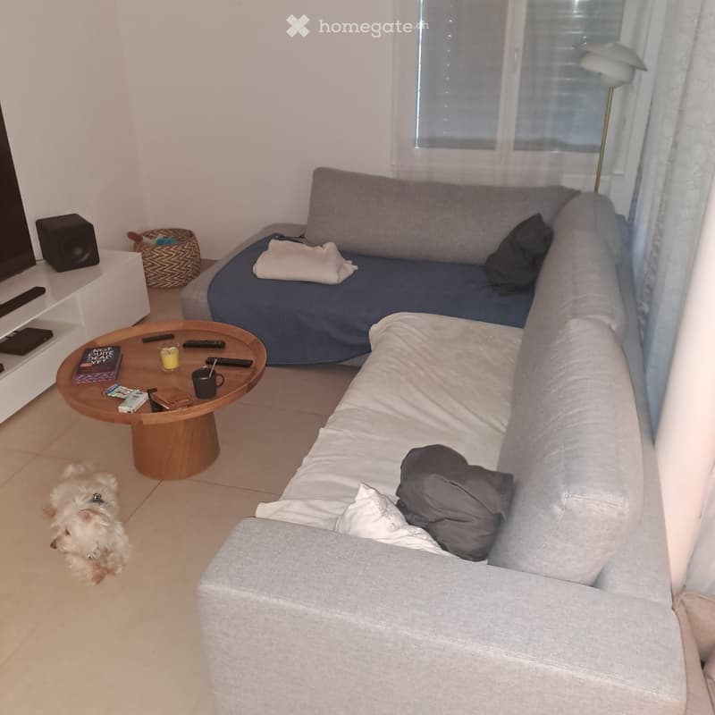 Nachmieter gesucht (2)