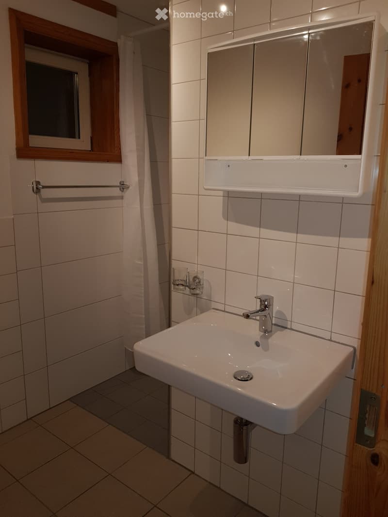 Teilmöblierte 2 Zimmerwohnung (4)