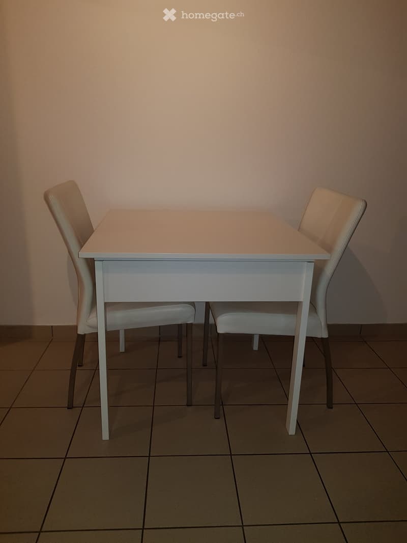 Teilmöblierte 2 Zimmerwohnung (3)