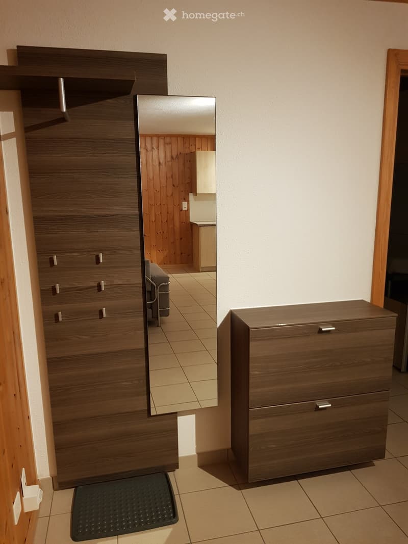 Teilmöblierte 2 Zimmerwohnung (5)
