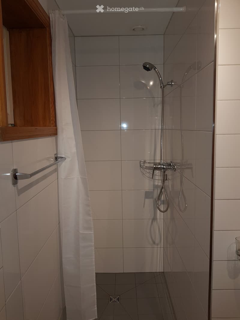 Teilmöblierte 2 Zimmerwohnung (2)